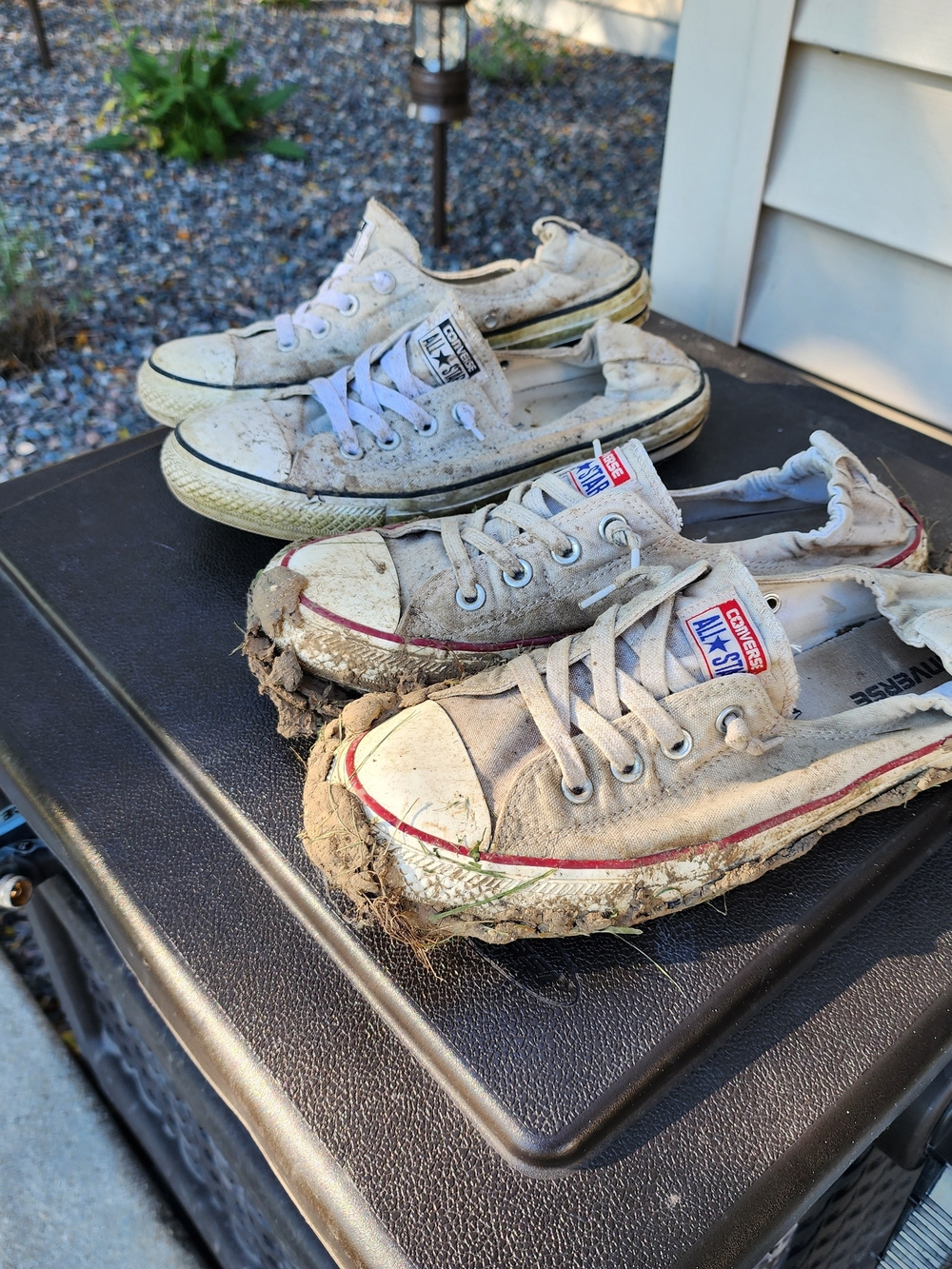 Well Worn Converse, Yard Shoes, 10